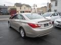 Camel Pearl - Sonata GLS Photo No. 6