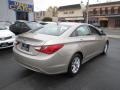 Camel Pearl - Sonata GLS Photo No. 7