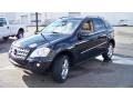 Black - ML 350 4Matic Photo No. 1