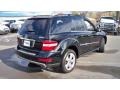 Black - ML 350 4Matic Photo No. 5