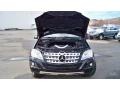 Black - ML 350 4Matic Photo No. 20