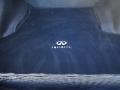 Smokey Quartz - G 37 Journey Sedan Photo No. 19