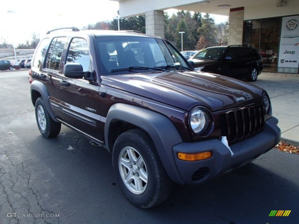 2004 Liberty Sport 4x4 - Deep Molten Red Pearl / Dark Slate Gray photo #2