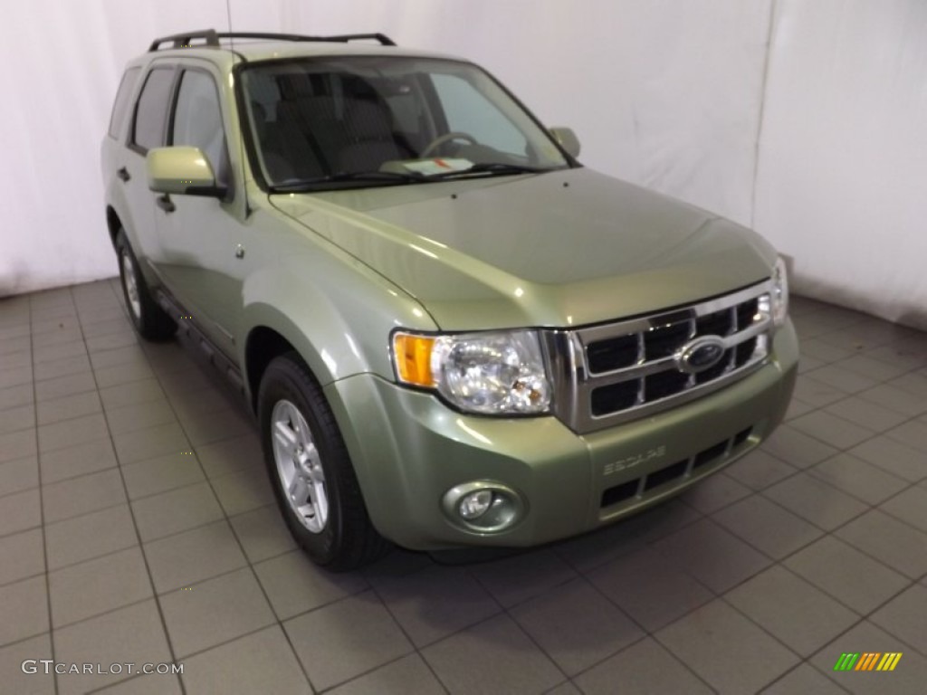 2008 Escape Hybrid 4WD - Kiwi Green Metallic / Stone photo #1