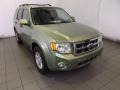 2008 Kiwi Green Metallic Ford Escape Hybrid 4WD #87864632