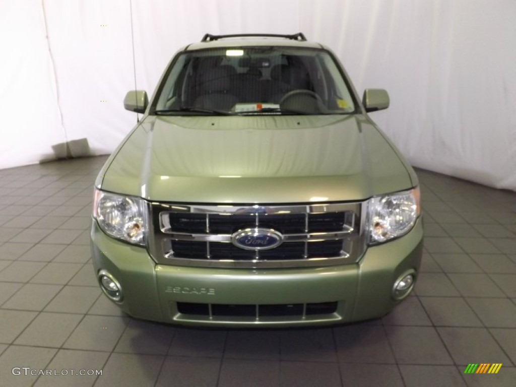 2008 Escape Hybrid 4WD - Kiwi Green Metallic / Stone photo #2