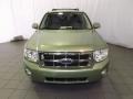 2008 Kiwi Green Metallic Ford Escape Hybrid 4WD  photo #2