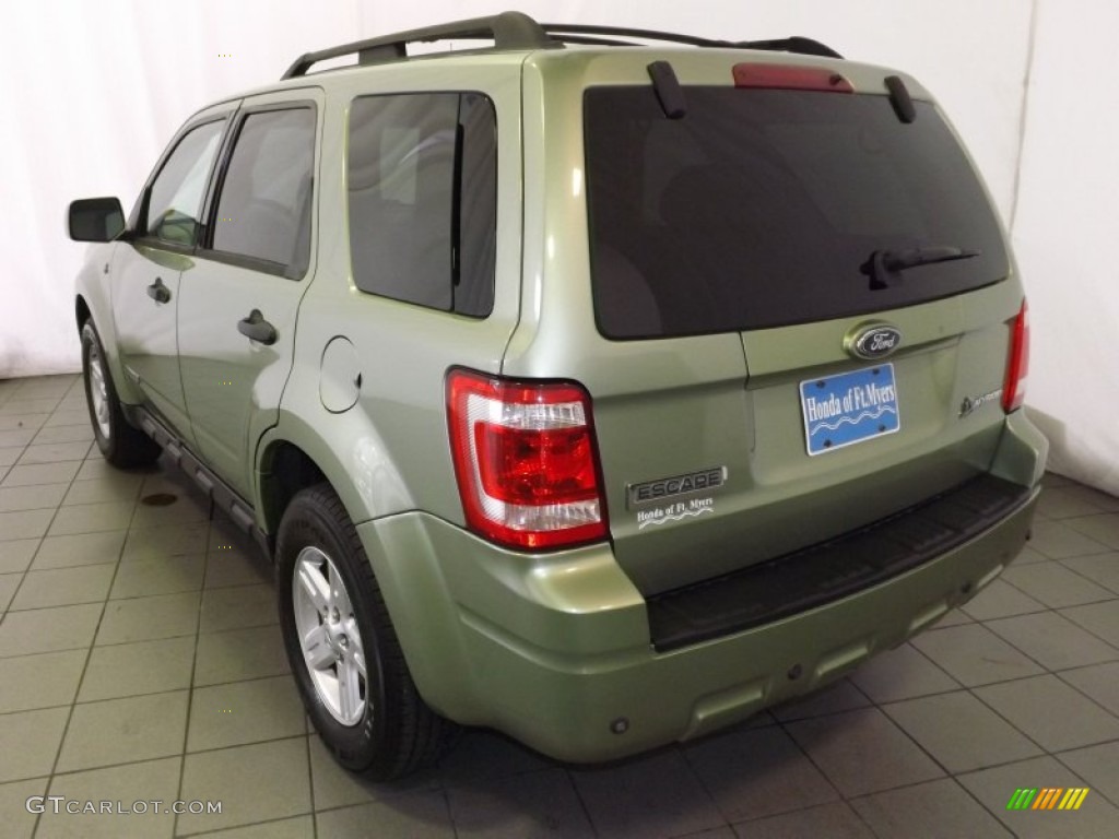 2008 Escape Hybrid 4WD - Kiwi Green Metallic / Stone photo #6