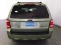 2008 Kiwi Green Metallic Ford Escape Hybrid 4WD  photo #7