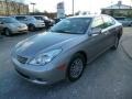 Millennium Silver Metallic - ES 330 Photo No. 3
