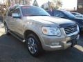 Pueblo Gold Metallic 2006 Ford Explorer Limited 4x4