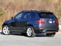 Platinum Gray Metallic - X5 xDrive 35i Photo No. 5