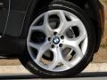 Platinum Gray Metallic - X5 xDrive 35i Photo No. 23