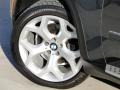 Platinum Gray Metallic - X5 xDrive 35i Photo No. 27