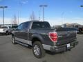 Sterling Grey Metallic - F150 XLT SuperCrew 4x4 Photo No. 4