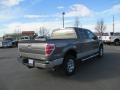 Sterling Grey Metallic - F150 XLT SuperCrew 4x4 Photo No. 6