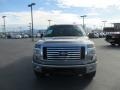 Sterling Grey Metallic - F150 XLT SuperCrew 4x4 Photo No. 8