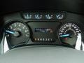 Steel Gray Gauges Photo for 2013 Ford F150 #87900844