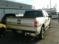 Ingot Silver Metallic - F150 XLT SuperCrew Photo No. 4