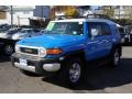 Voodoo Blue - FJ Cruiser 4WD Photo No. 3