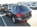 Moonlit Blue - Santa Fe GLS 4WD Photo No. 3