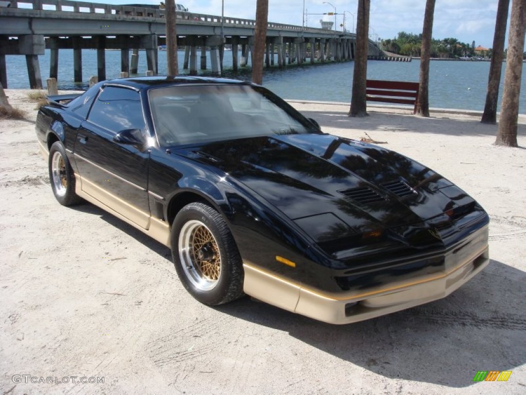 1986 Firebird Trans Am - Black Sapphire / Tan photo #1