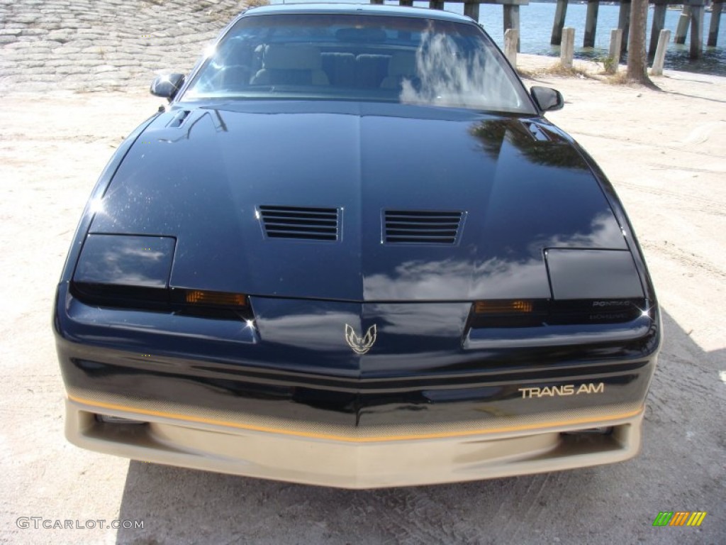 Black Sapphire 1986 Pontiac Firebird Trans Am Exterior Photo #87907183