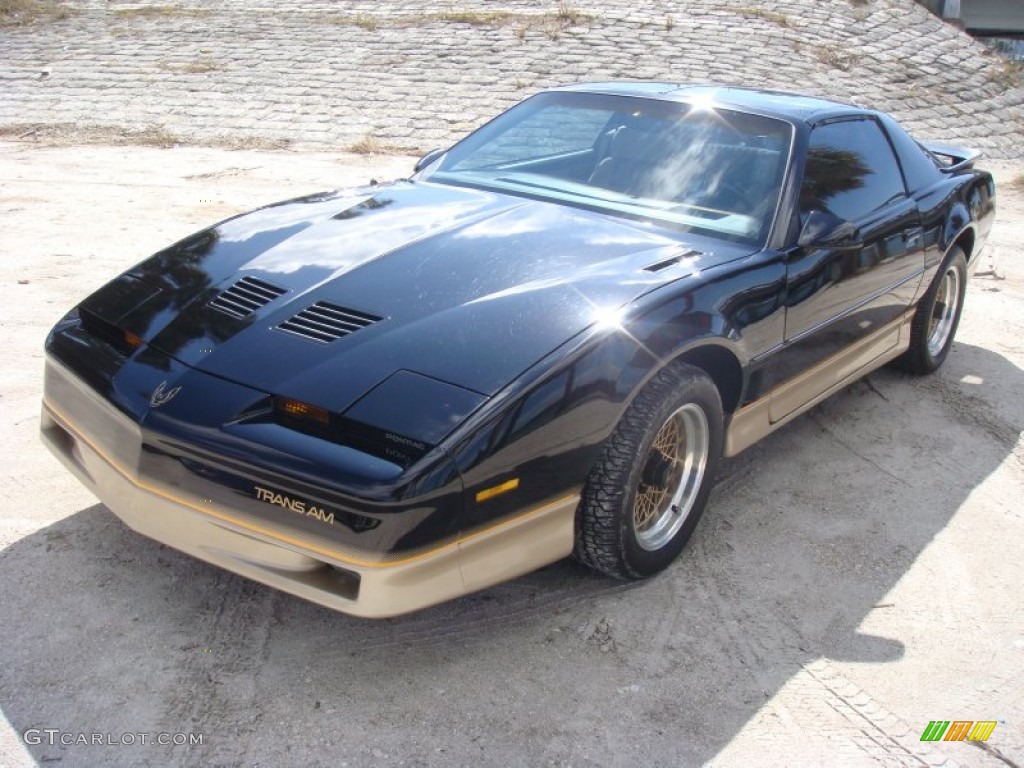 1986 Firebird Trans Am - Black Sapphire / Tan photo #3