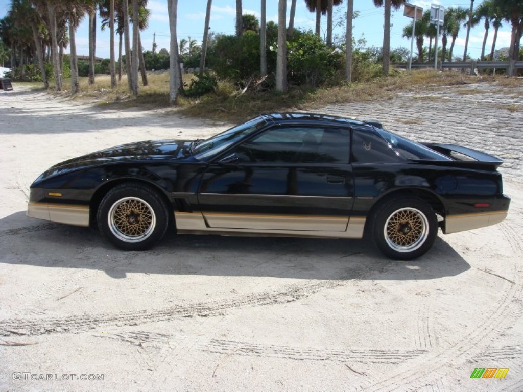 Black Sapphire 1986 Pontiac Firebird Trans Am Exterior Photo #87907204