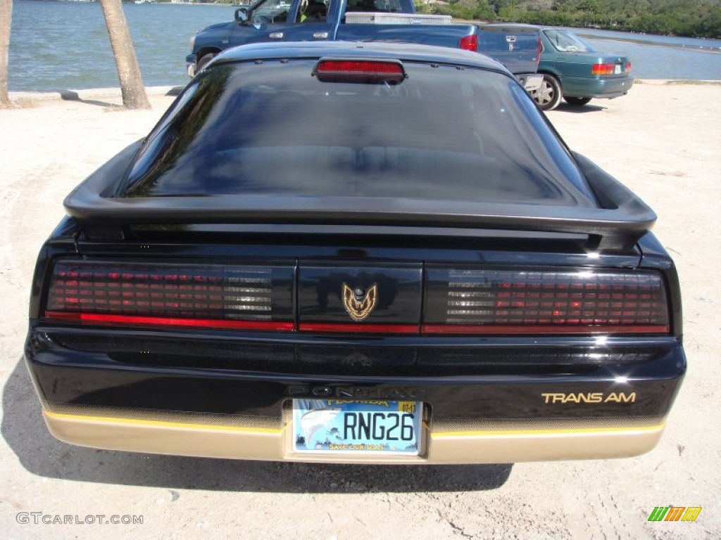 1986 Firebird Trans Am - Black Sapphire / Tan photo #6