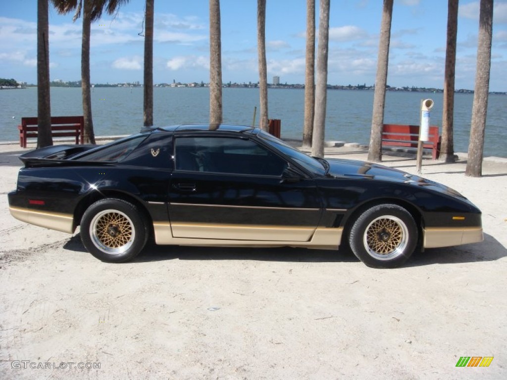 Black Sapphire 1986 Pontiac Firebird Trans Am Exterior Photo #87907246
