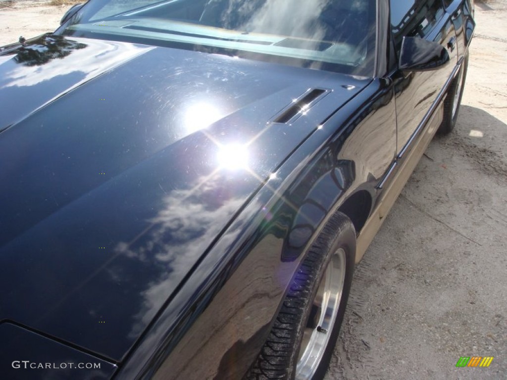 1986 Firebird Trans Am - Black Sapphire / Tan photo #10