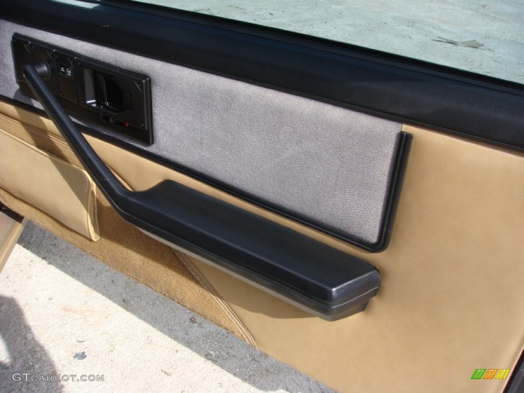 1986 Pontiac Firebird Trans Am Door Panel Photos