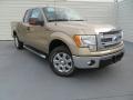 Pale Adobe Metallic - F150 XLT SuperCab Photo No. 2