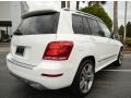 Polar White - GLK 350 Photo No. 3