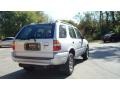 1999 Bright Silver Metallic Isuzu Rodeo LS  photo #3