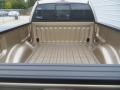 Pale Adobe Metallic - F150 XLT SuperCab Photo No. 21