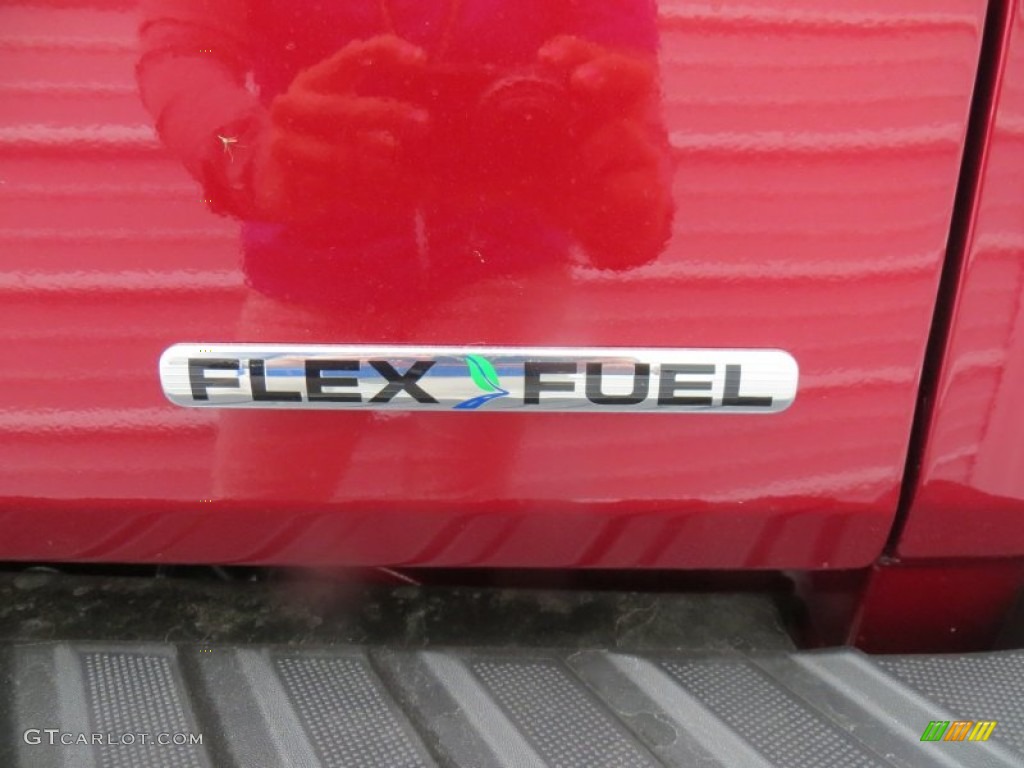 2013 F150 XLT SuperCrew - Ruby Red Metallic / Steel Gray photo #19