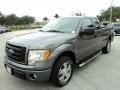 Sterling Grey Metallic 2010 Ford F150 STX SuperCab Exterior