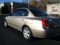 Champagne Metallic - Elantra GLS Sedan Photo No. 8