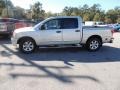 Radiant Silver - Titan SE Crew Cab Photo No. 2