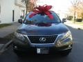 Smokey Granite Mica - RX 350 AWD Photo No. 2