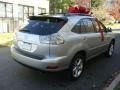 Millenium Silver Metallic - RX 350 AWD Photo No. 4