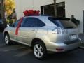 Millenium Silver Metallic - RX 350 AWD Photo No. 6