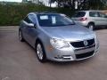 Reflex Silver Metallic 2010 Volkswagen Eos Komfort Exterior
