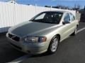 Lunar Gold Metallic - S60 2.5T AWD Photo No. 10