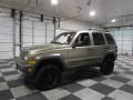Light Khaki Metallic - Liberty Renegade 4x4 Photo No. 4