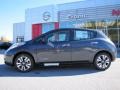 2013 Metallic Slate Nissan LEAF SL  photo #2