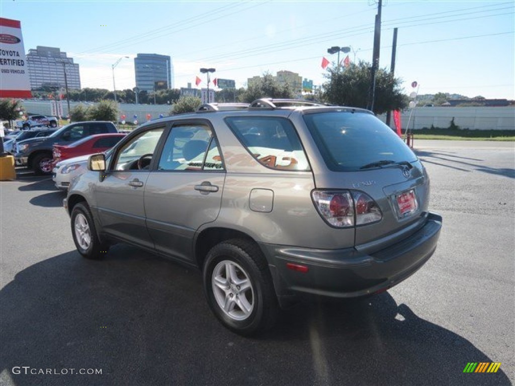 2002 RX 300 - Mineral Green Opalescent / Ivory photo #5