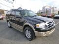 Tuxedo Black 2013 Ford Expedition XLT 4x4